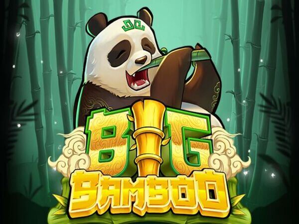 ph365 casino online